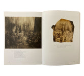 Rembrandt's Recession: Passion and Prints in the Dutch Golden Age